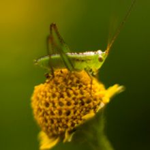 Sección MACROPOLI. Un progetto di Fotografia di Héctor HDZ. Ballinas - 17.04.2015