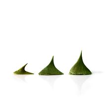 Las espinas del dragón. Een project van Grafisch ontwerp van i g l o o - 21.04.2015