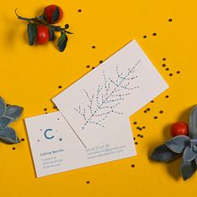 Celine Bertin - Créatrice d'Ambiances Extèrieures . Un proyecto de Br, ing e Identidad, Diseño gráfico y Paisajismo de Ludivine Dallongeville - 31.01.2014