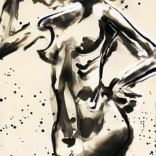 Pinturas con Quimicos fotograficos . Arte plastice și Pictura de Paula Gahrmann - 07.27.2005