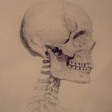 Universidad Complutense de Madrid, aula de anatomía. Reconstrucción anatómica de la cabeza humana. Un projet de Beaux Arts de Érika Meijide Jansen - 19.06.2006
