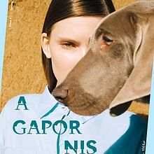 Agapornis Magazine. Fine Arts, Design, and Traditional illustration project by susana_lopez - 05.03.2015