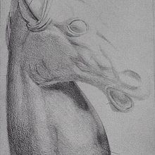 Busto caballo. Projekt z dziedziny  Sztuki piękne, Rzeźba, Trad, c, jna ilustracja i  Malarstwo użytkownika María Rogles - 04.05.2015