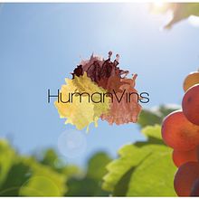 Identidad Corporativa HumanVins. Un proyecto de Br, ing e Identidad, Diseño editorial, Diseño gráfico y Fotografía de Neus Baidal Villada - 04.08.2014