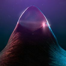 Hyper animals. Un proyecto de Animación, Diseño gráfico y Motion Graphics de southandisland - 04.05.2015