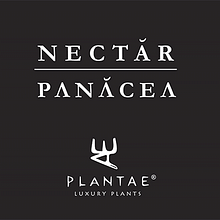 Plantae. Un proyecto de Fotografía y Publicidad de David Costa (Elche) - 06.05.2015
