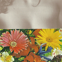 Color. Un proyecto de Bellas Artes, Cine y Collage de annitaklimt - 07.05.2015