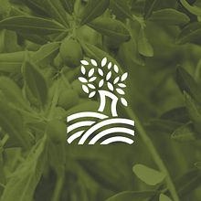  Ingeniera Técnico Agrícola. Un progetto di Br, ing, Br, identit, Design e Fotografia di Francisco Galiano - 10.05.2015