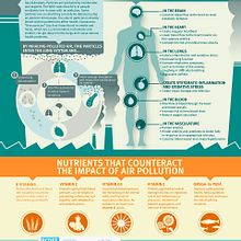 Infografía sobre como afecta la polución en la salud y como las vitaminas pueden mejorar nuestro estado.. Design & Information Design project by Alfonso Panduro - 05.10.2015