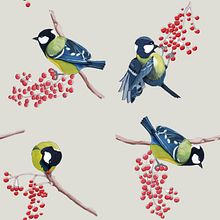Pájaros. Ilustración técnica mixta. Graphic Design, and Traditional illustration project by Ana Sánchez Tejedor - 05.12.2015