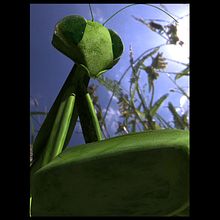 praying mantis - 3d model. 3D, and Design project by Diana Carolina Londoño - 08.07.2011