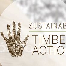 Promoción de evento Sustainable Timber Action. Un projet de Direction artistique , et Design graphique de Tom Sánchez - 19.04.2013
