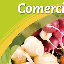 Triptico promocional "Alimentos ecológicos y Comercio Justo". Un projet de Design graphique de Tom Sánchez - 30.09.2012