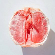 Mimetismi Inversi. Un projet de Photographie de Ilde Sandrin - 25.05.2015