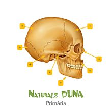CIENCIAS DE LA NATURALEZA DUNA. Editorial Design, and Multimedia project by Xiduca - 05.26.2015