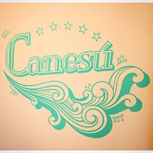 VINILOS CANESÚ. Design, Graphic Design, and Traditional illustration project by Ander Oliveira - 09.02.2015