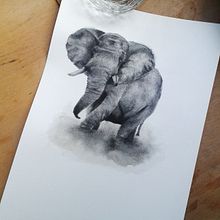 Elefante Acuarela.. Fine Arts, Design, and Traditional illustration project by Camila Bernal - 05.28.2015