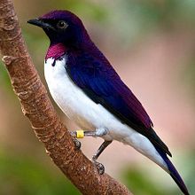 Proyecto de geometrización. Design gráfico projeto de Irene Viciano Parra - 01.06.2015