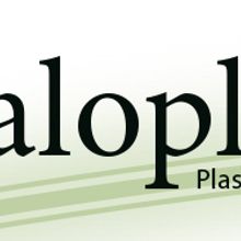 Caloplast S.L.. Br, ing, Identit, Web Development, Graphic Design, and Web Design project by Eric Carreras-Candi - 02.28.2010