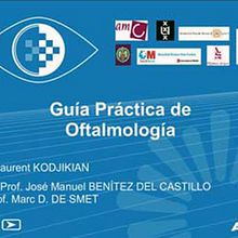 Guía Práctica de Oftalmología. Animation, Programming, Graphic Design, Writing, IT, Motion Graphics, and Multimedia project by Eric Carreras-Candi - 10.31.2009