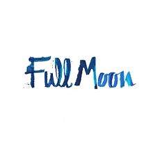 Full Moon Festival NY branding. Br, ing e Identidade, Caligrafia, Tipografia, Ilustração tradicional, Lettering, Lettering digital, e Design de logotipo projeto de Laura Sala - 07.06.2015