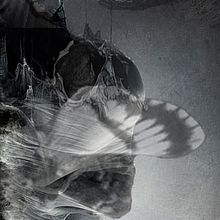 Transmutación. Un proyecto de Collage y Fotografía de Mª Concepción Tomás Rivera - 15.06.2015