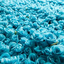 3000 Sant Jordi Folded Flowers. Un proyecto de Artesanía y Diseño de Fábrica de Texturas - 22.04.2015