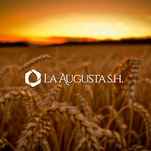 La Augusta S.H. - Branding. Un proyecto de Br, ing e Identidad, Diseño y Diseño gráfico de Jazmín de Zavaleta - 18.08.2014
