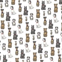 Perritos. Un proyecto de Diseño de vestuario de Almudena Cockadoodledoo - 25.06.2015