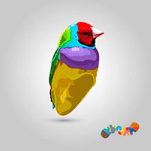Aves. Un proyecto de Diseño gráfico e Ilustración tradicional de JOHN ARIZA - 29.06.2015