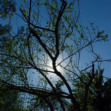 Contra luz. Photograph project by Rebeca Raymundo Escalante - 07.07.2015