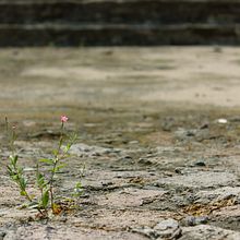Miniaturas. Photograph project by Rebeca Raymundo Escalante - 07.07.2015