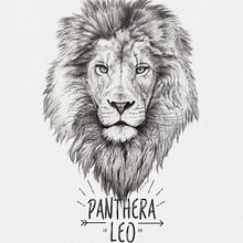 Lion, The King. Traditional illustration project by miguel sastre - 08.30.2017