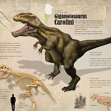 Giganotosaurus carolini. Design project by Sebastián Martín - 08.02.2015