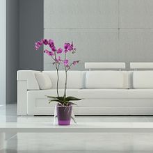 Renders Catálogo Hobby flower. Un projet de 3D, Architecture , et Architecture d'intérieur de Ferran Prat - 14.07.2015