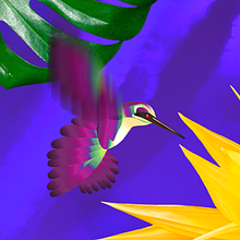 Desigual® Selected. Animation, and Motion Graphics project by Caramel - 08.16.2014