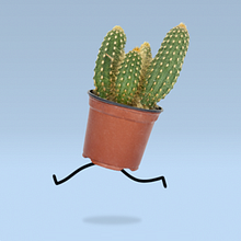 Biblioteques de Barcelona. Animation, and Character Design project by Caramel - 08.21.2014