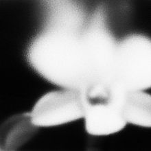 fotografia . Seni Rupa, Desain Editorial, Desain Grafis, Fotografi & Ilustrasi tradisional proyek oleh Angel Ligero - 07.19.2015