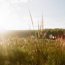 Fotografía Analógica . % Macarena Cuinat tarafından hazırlanan Fotoğrafçılık projesi - 07.22.2015
