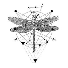 Dragonfly. Un proyecto de Diseño de Srta.Baron - 24.07.2015