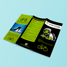 Tríptico Tomas Domingo. Graphic Design project by Joan Sala - 08.03.2015