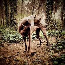 SHE_Imposible no crujirla a fotos con el móvil.... Een project van Fotografie van jordi tost - 29.07.2015