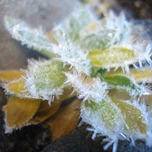 Visiten Argentina. Bariloche, Rio Negro. . Een project van Fotografie, L y scaping van Romina Gutierrez - 30.07.2015