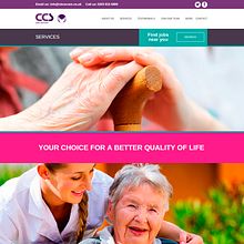 Project manager CCS website and social media. 2015. Creative Consulting, and Web Design project by Pedro Guillermo Pérez Rocha - 06.03.2015