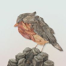 Creación artística y personal >> petirrojo >> muerte y belleza ajena. Artes plásticas, Colagem, e Direção de arte projeto de Sofia Nieto Penalver - 03.08.2013