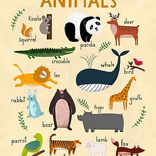 Aphabet, Animals and Numbers / Carteles para Hansol Education. Graphic Design, and Traditional illustration project by ana seixas - 04.14.2015