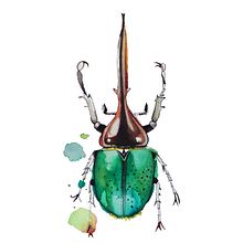Green Beetle Ein Projekt aus dem Bereich Bildende Künste von Rocío Gómez Moral - 10.08.2015