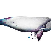 Whale. Un progetto di Belle arti di Rocío Gómez Moral - 10.08.2015