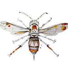Wasp Ein Projekt aus dem Bereich Bildende Künste von Rocío Gómez Moral - 10.08.2015