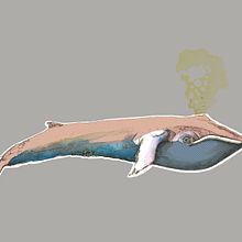 Grey Whale Ein Projekt aus dem Bereich Bildende Künste von Rocío Gómez Moral - 10.08.2015